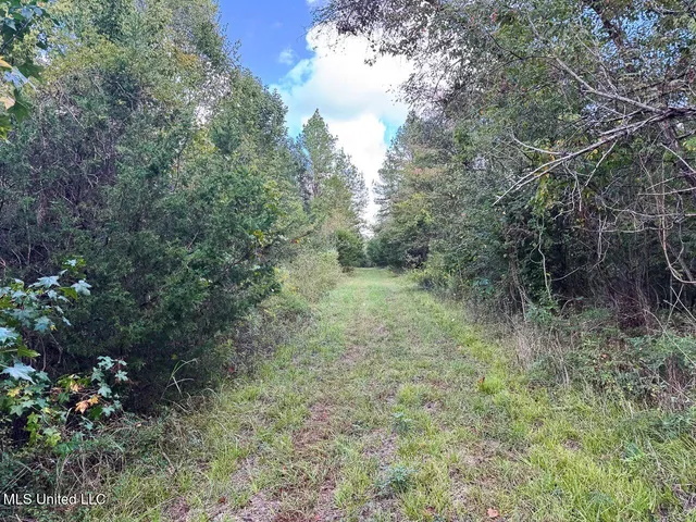 $4,400,000 | 571 Smith Road, Woodville, MS 39669