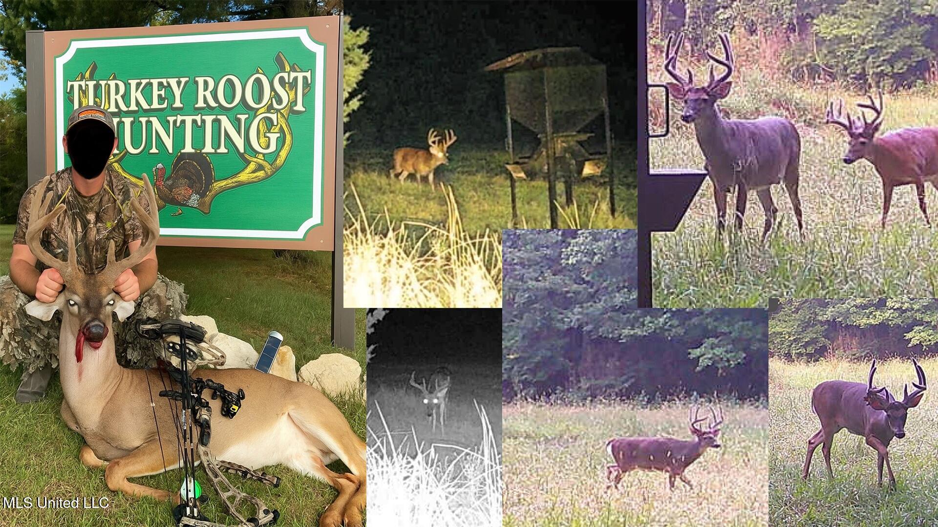 571 Smith Road Woodville, MS 39669 - Photo 44 of 45 tr 1