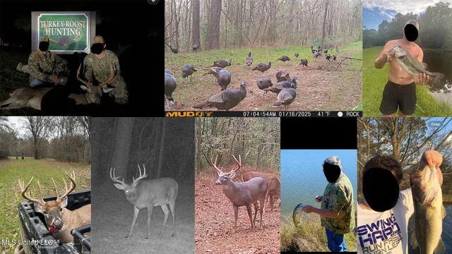 $4,400,000 | 571 Smith Road, Woodville, MS 39669