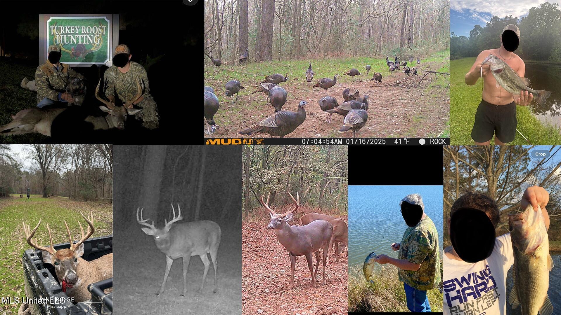 571 Smith Road Woodville, MS 39669 - Photo 45 of 45 tr-2