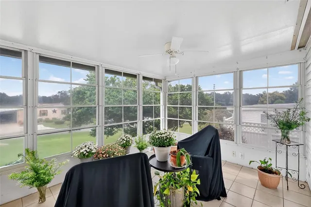 a living room filled with furniture and a potted plant