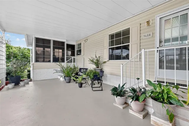 a potted plant sitting in front of a house