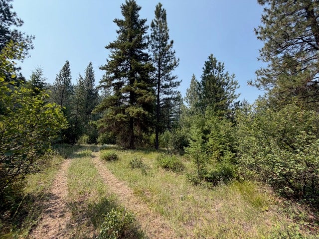 37 Big Horn Road Superior, MT 59872 - Photo 44 of 56 Gallery Image 44