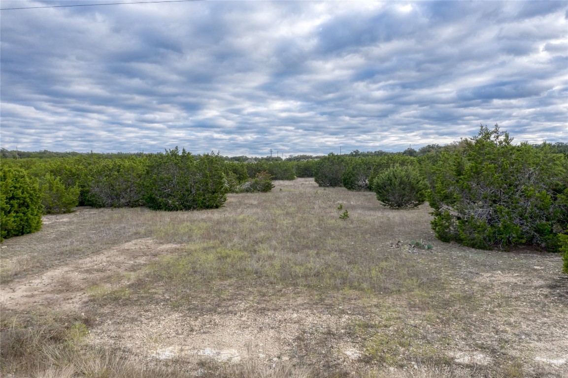 195 Whispering Wind Road Bertram, TX 78605 - Photo 11 of 16 a view of a dry yard with lots of green space