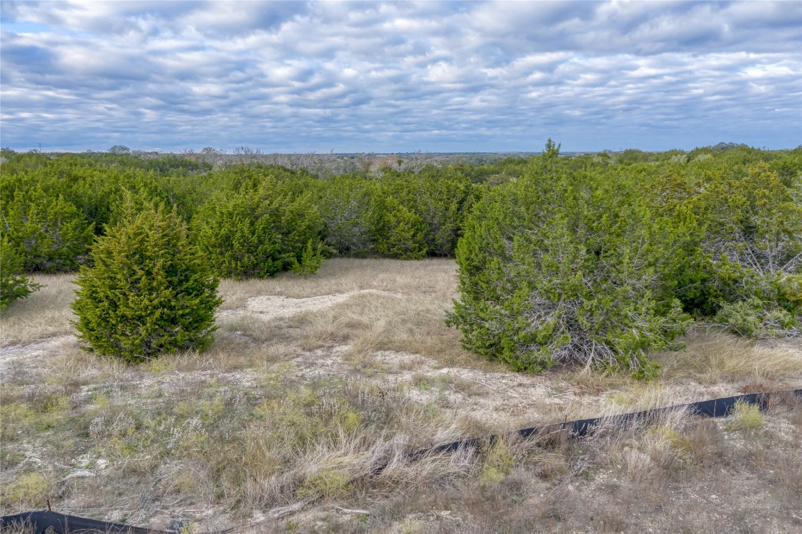 195 Whispering Wind Road Bertram, TX 78605 - Photo 15 of 16 a view of a field with a tree