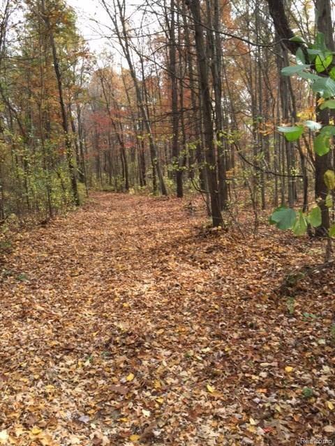 19280 Savage Road Belleville, MI 48111 - Photo 3 of 11