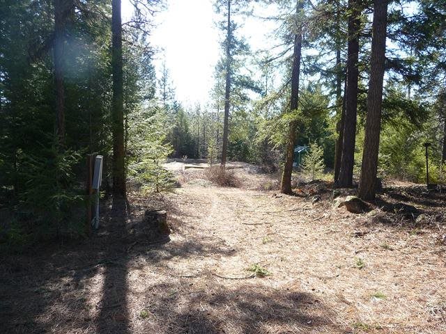 701 Sky Ranch Road Newport, WA 99156 - Photo 2 of 16 Gallery Image 2