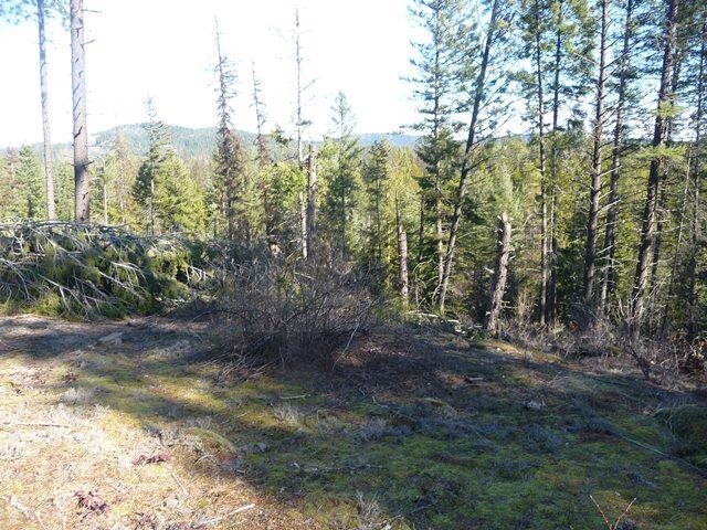 701 Sky Ranch Road Newport, WA 99156 - Photo 9 of 16 Gallery Image 9