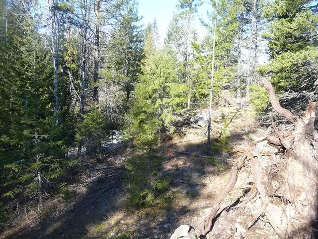 701 Sky Ranch Road Newport, WA 99156 - Photo 10 of 16 Gallery Image 10