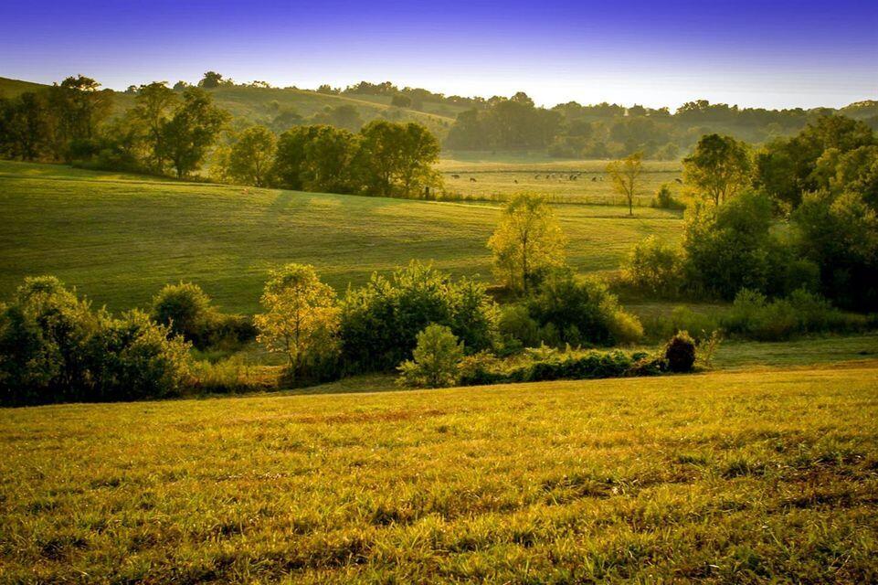 0 Deer Chase Road Danville, KY 40422 - Photo 11 of 21 pic 12