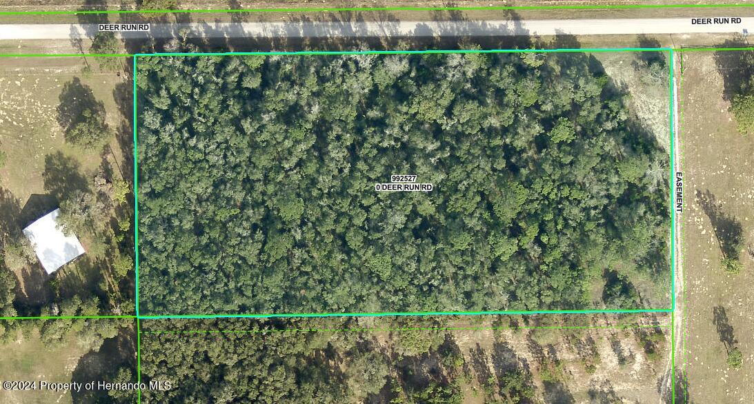 0 Deer Run Road Brooksville, FL 34601 - Photo 8 of 17 Gallery Image 8