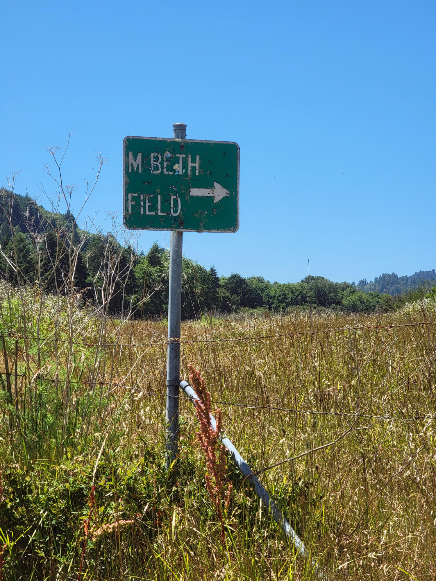 390 Terwer Riffle Road Klamath, CA 95548 - Photo 30 of 34