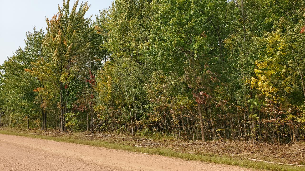 0 Cth X Gleason, WI 54435 - Photo 1 of 8 Gallery Image 1