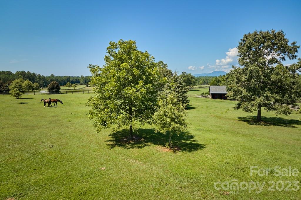 800 Collinsville Road Columbus, NC 28722 - Photo 6 of 33