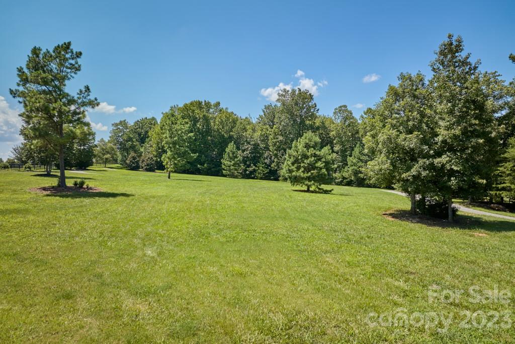 800 Collinsville Road Columbus, NC 28722 - Photo 10 of 33 a view of a garden with a tree