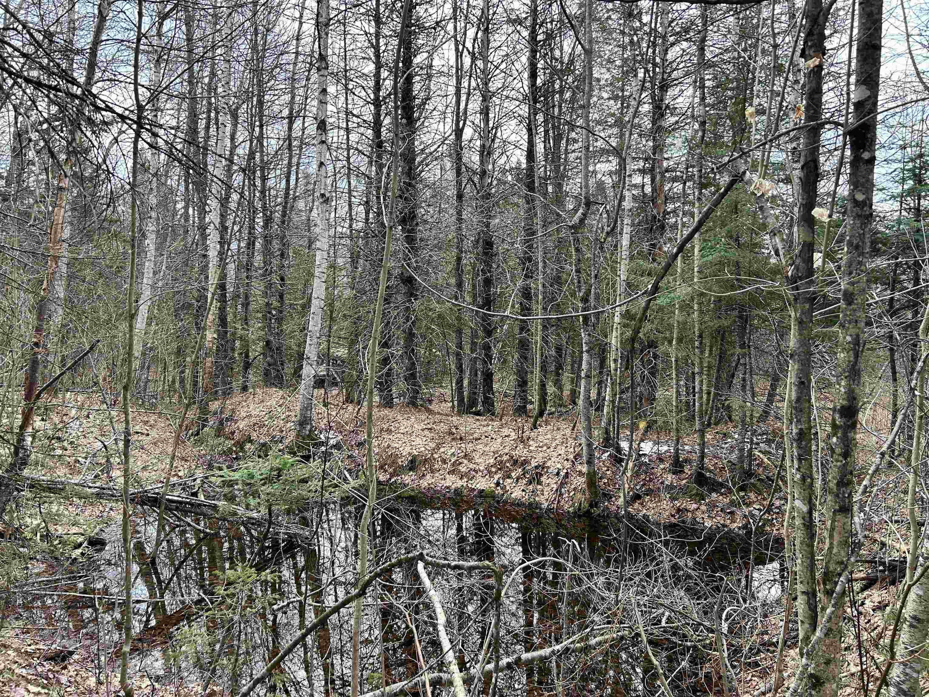 0 Norway Road Greensboro Bend, VT 05842 - Photo 10 of 14