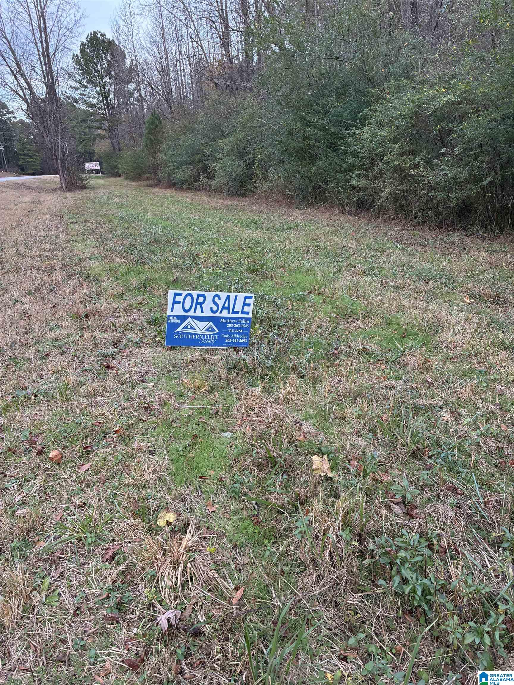 0 Highway 160 Hayden, AL 35079 - Photo 3 of 6