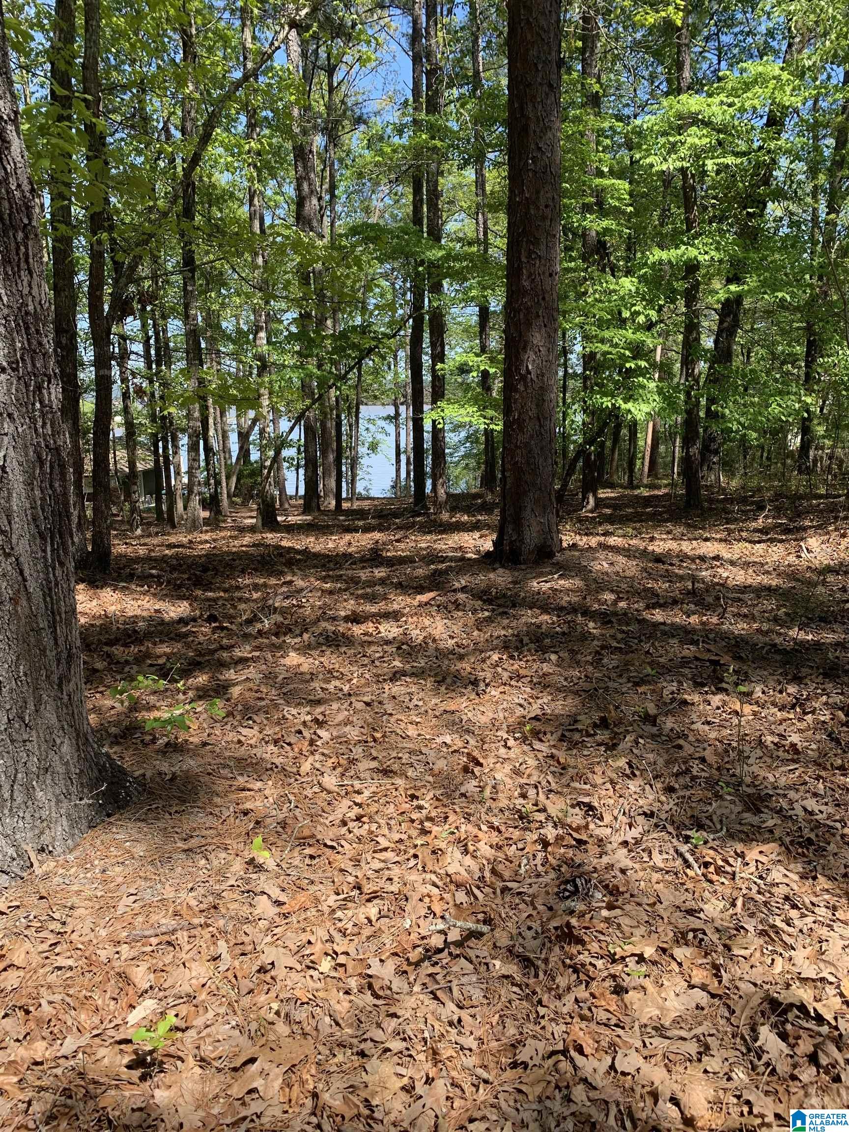 Windy Way, Unit 49 Alexander City, AL 35010 - Photo 1 of 17