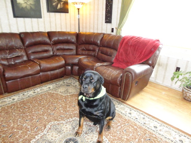 26 Golf Course Road Richford, VT 05476 - Photo 24 of 36 Gallery Image 24