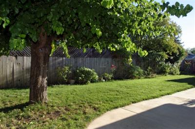 3452 Mayette Avenue Santa Rosa, CA 95405 - Photo 10 of 10 Gallery Image 10