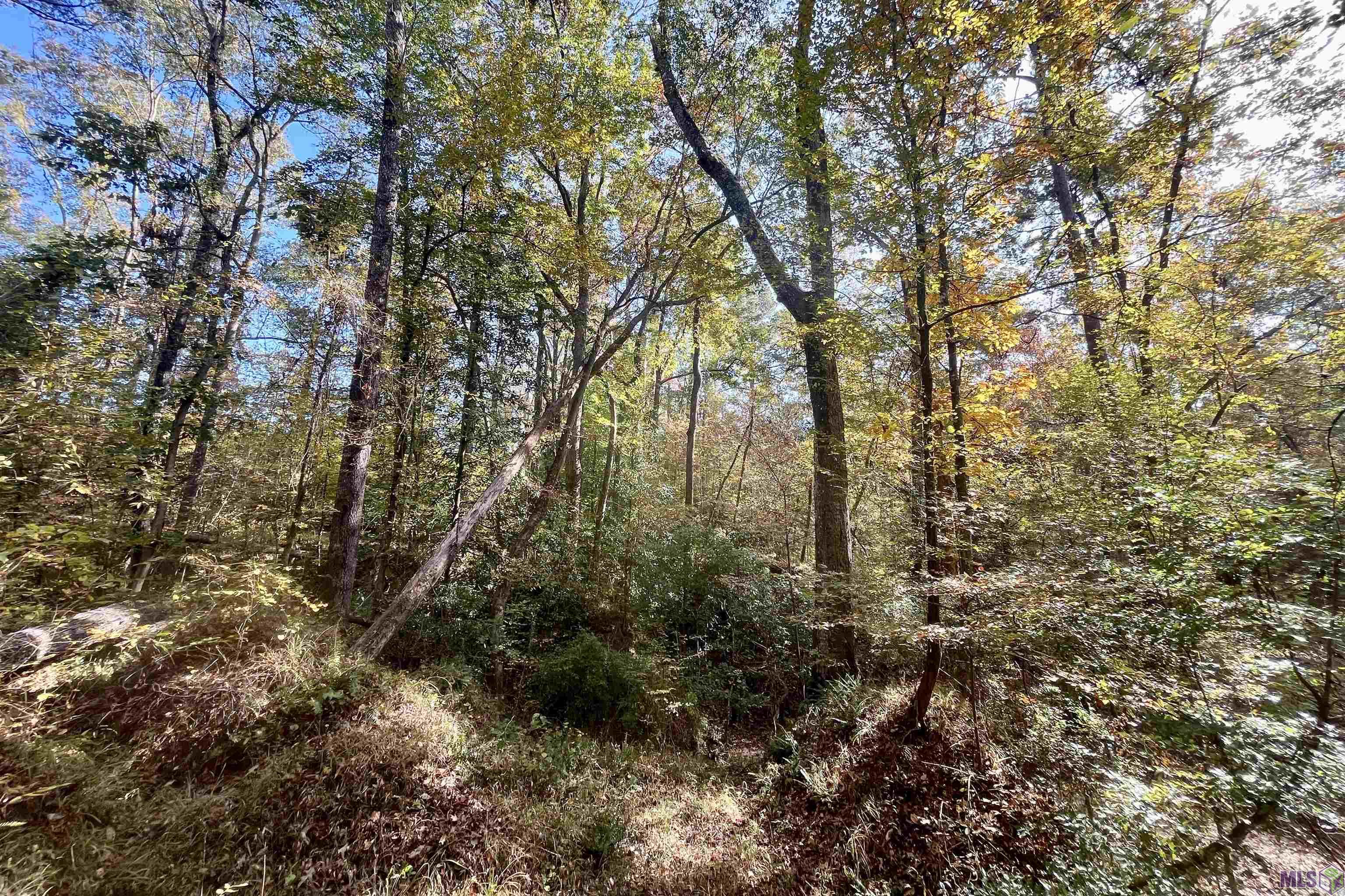 5 Stampley Road Roxie, MS 39661 - Photo 20 of 36