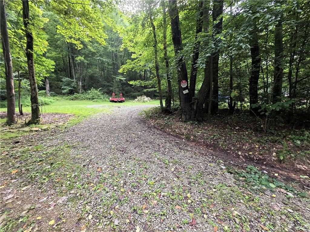 258 Mike Shawley Road Somerset, PA 15501 - Photo 11 of 43 Gallery Image 11