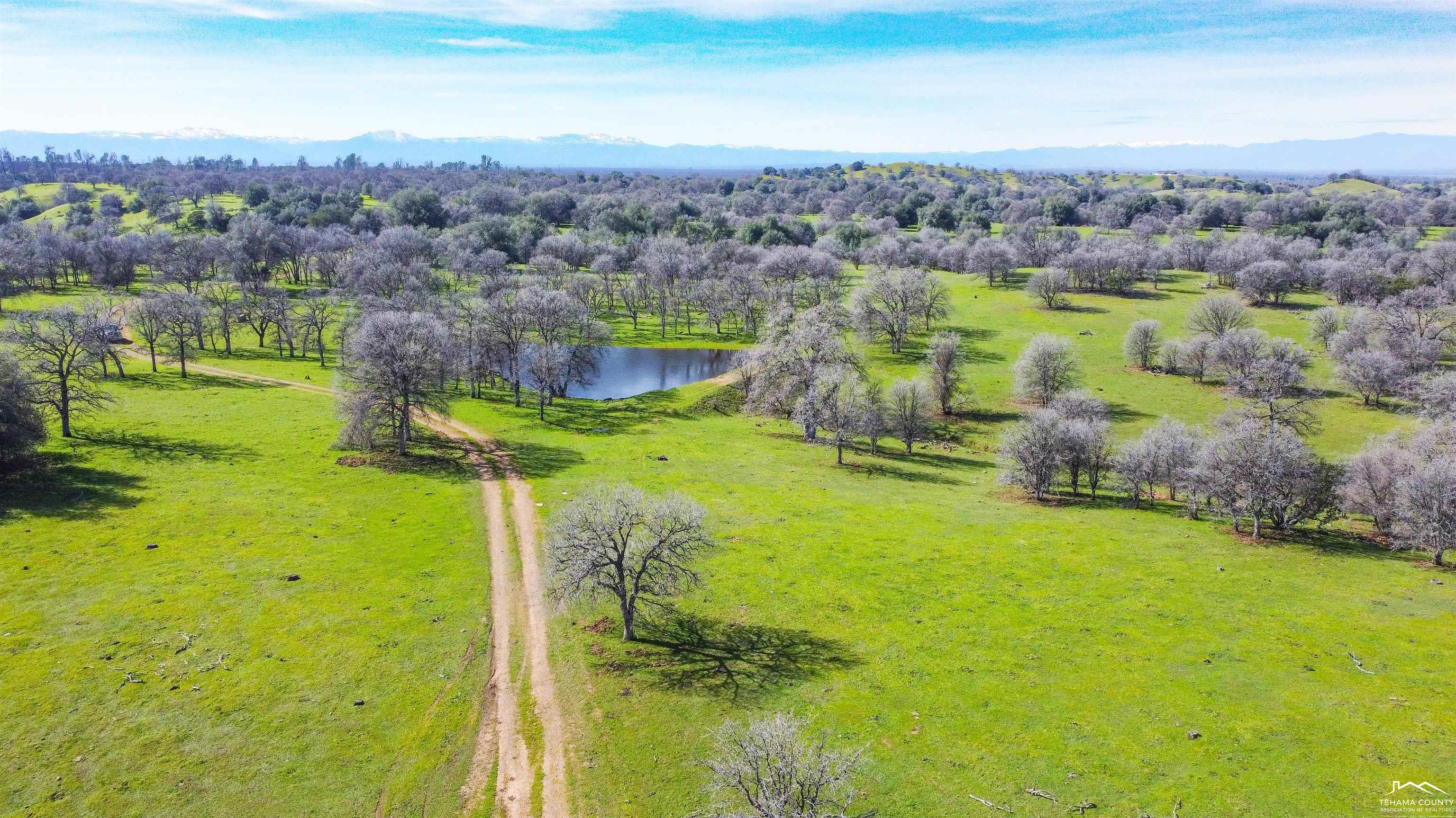0 Jellys Ferry Road Red Bluff, CA 96080 - Photo 7 of 24 Gallery Image 7