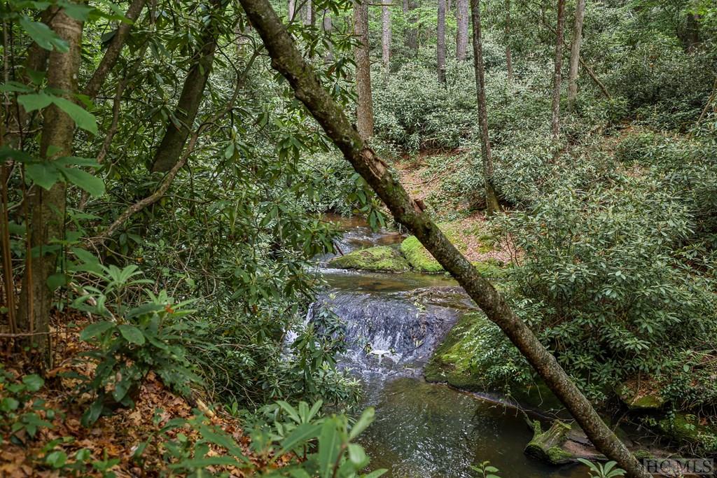 0 Wild River Road Cashiers, NC 28717 - Photo 6 of 13 Gallery Image 6