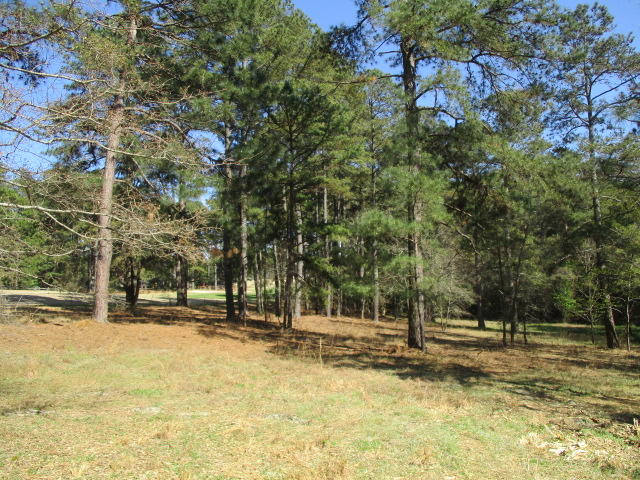 1045 Valley View Road Southern Pines, NC 28387 - Photo 7 of 10 IMG_6806