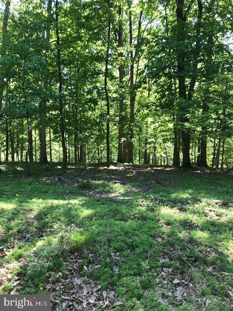 49 Rist Trail Fairfield, PA 17320 - Photo 1 of 3 a fire hydrant in the middle of a field