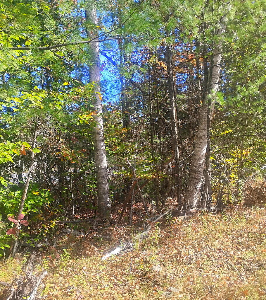 Lot 18-20 Carrabassett Road North Anson, ME 04958 - Photo 2 of 15 5337069757876280607