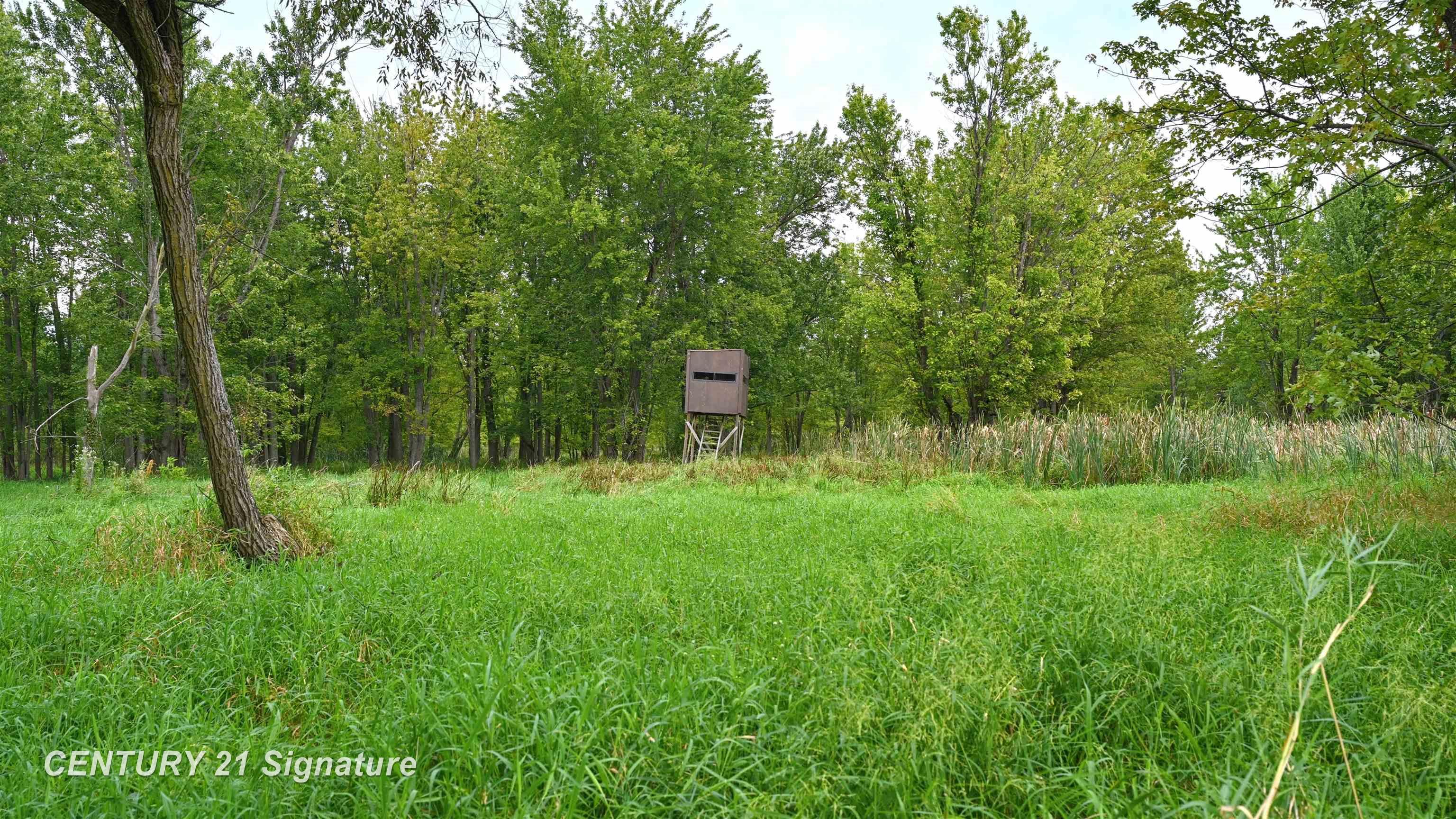 0 Tyrrell Road Owosso, MI 48867 - Photo 12 of 41 50221544-03d291bd-1562-4401-a28c-304caf0ea33d.JPG