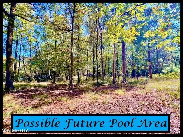 $950,000 | 3709 Lyles Drive, Oxford, MS 38655