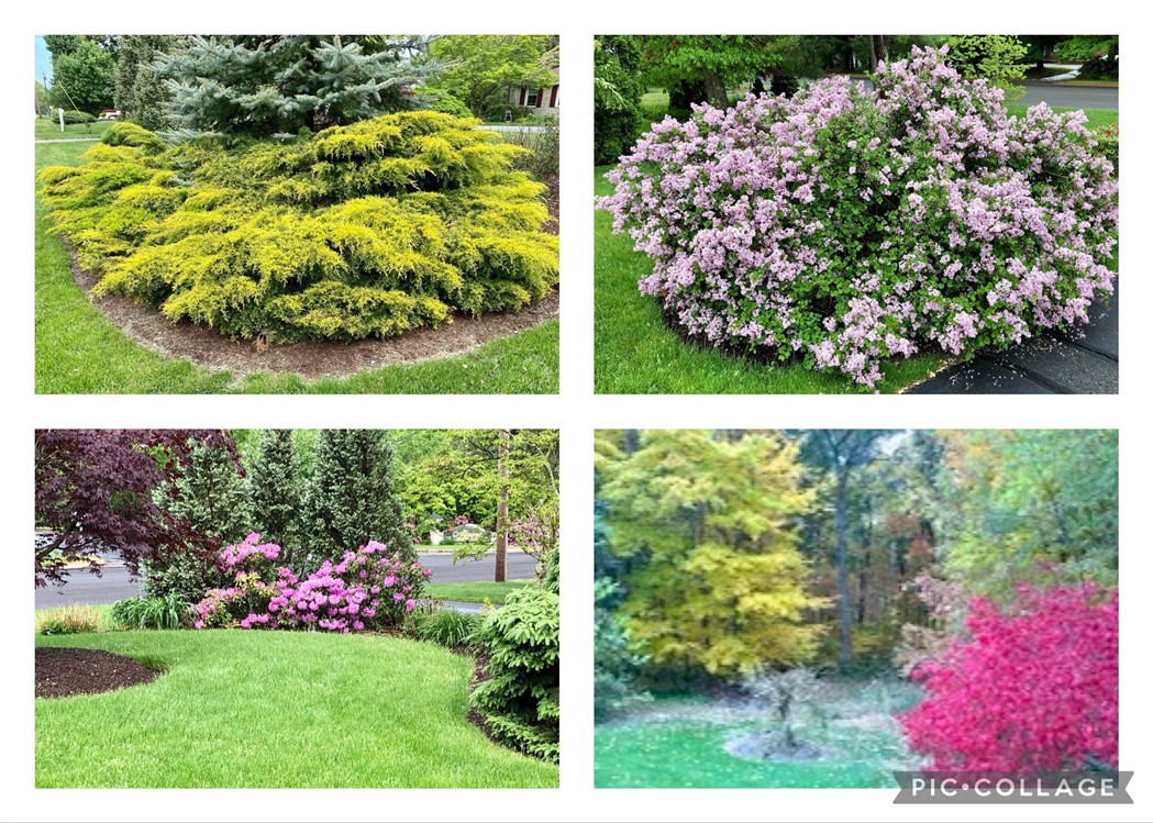 280 Pippin Orchard Road Cranston, RI 02921 - Photo 37 of 39 Mature plantings throughout