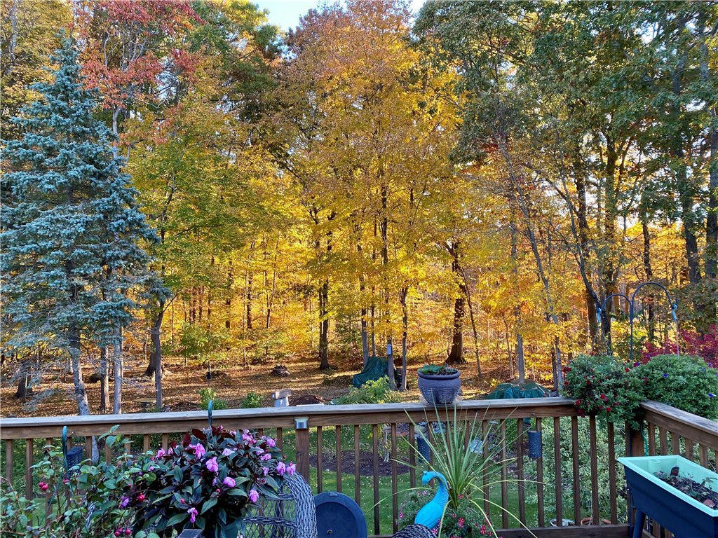 280 Pippin Orchard Road Cranston, RI 02921 - Photo 39 of 39 Beautiful privacy buffer