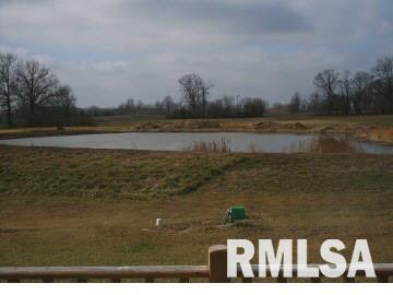 1040 End Road Thompsonville, IL 62890 - Photo 11 of 11