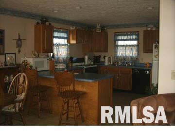 1040 End Road Thompsonville, IL 62890 - Photo 4 of 11