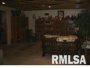 1040 End Road Thompsonville, IL 62890 - Photo 10 of 11