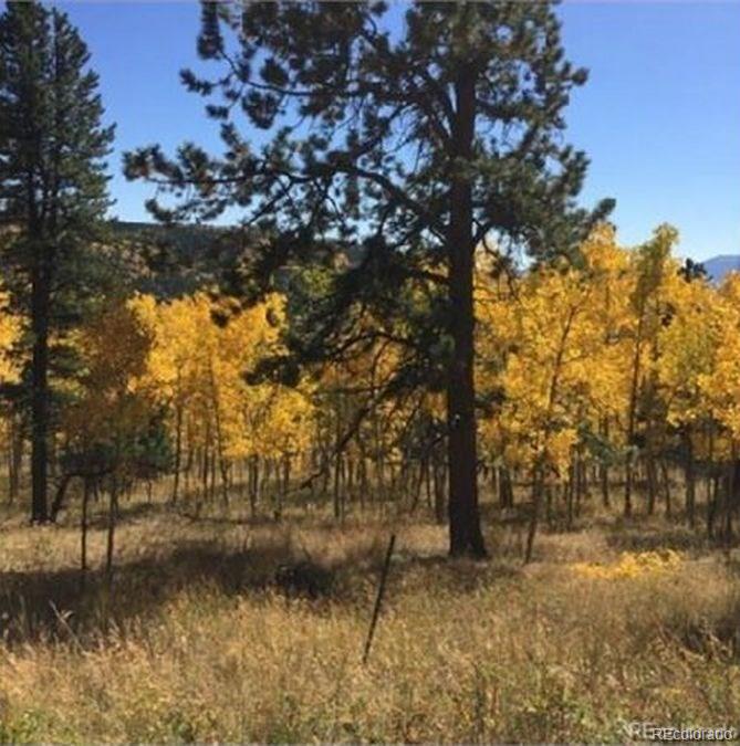 Lot 10 Badger Road Black Hawk, CO 80422 - Photo 2 of 8 Gallery Image 2