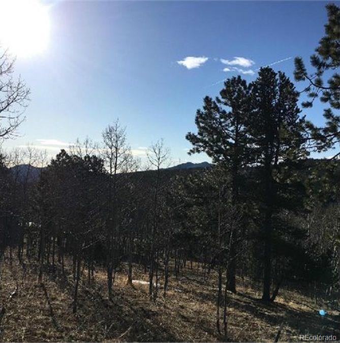 Lot 10 Badger Road Black Hawk, CO 80422 - Photo 7 of 8 Gallery Image 7