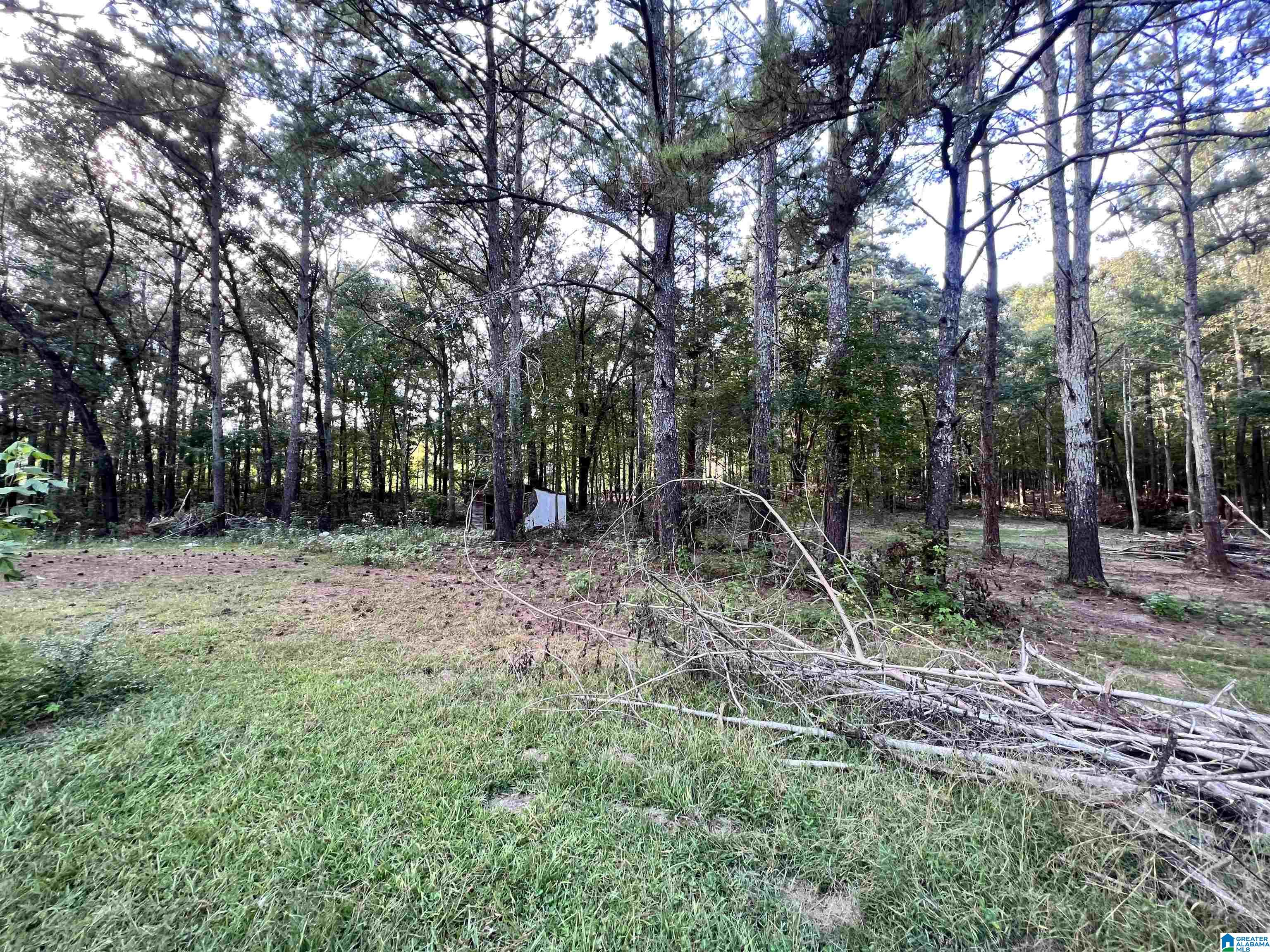4941 Pleasant Valley Road Ashville, AL 35953 - Photo 5 of 15