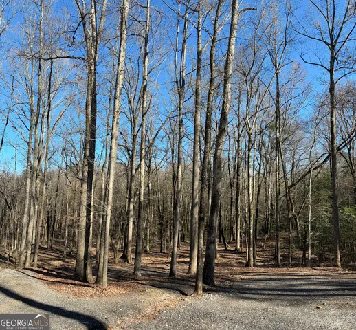 a view of outdoor space and street view