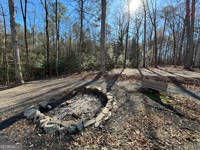a view of a yard with trees