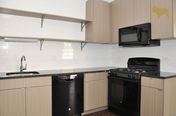 5600 North Ridge Avenue, Unit 202 Chicago, IL 60660 - Photo 3 of 11