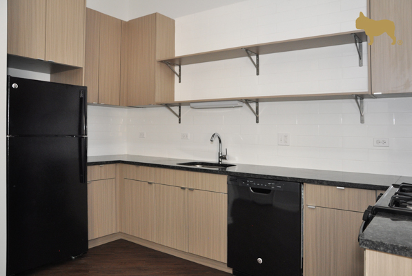 5600 North Ridge Avenue, Unit 202 Chicago, IL 60660 - Photo 4 of 11