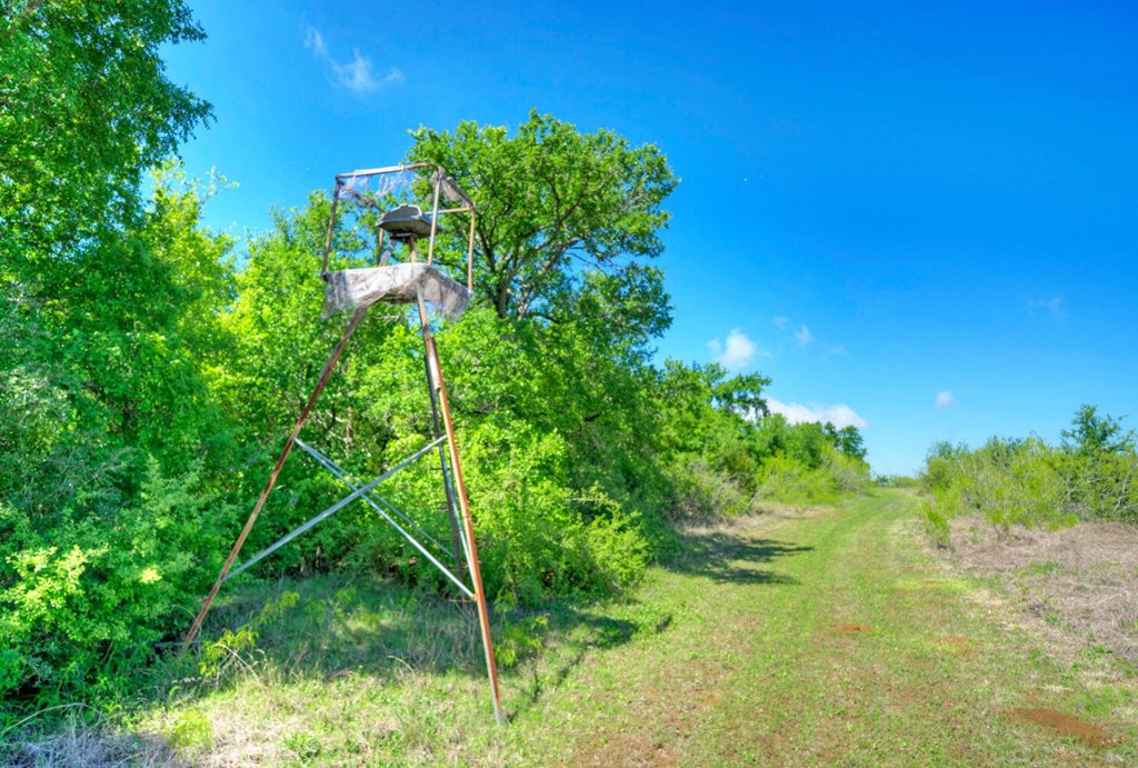 3 County Road, Unit 3 Elgin, TX 78621 - Photo 30 of 37 a view of a garden