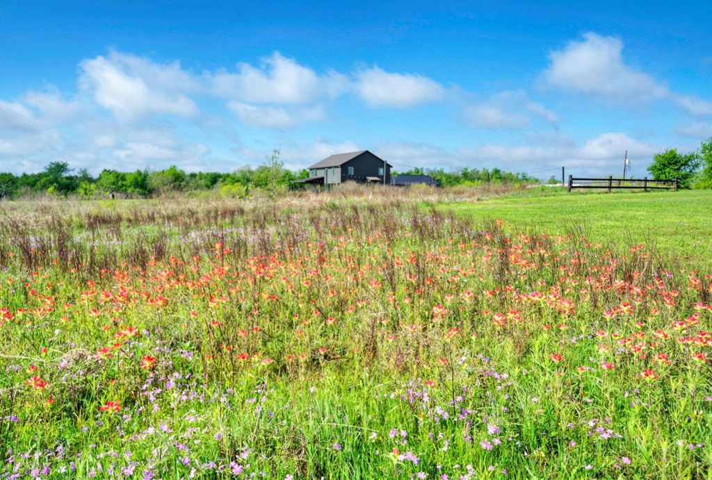 3 County Road, Unit 3 Elgin, TX 78621 - Photo 36 of 37 a view of lake with green space
