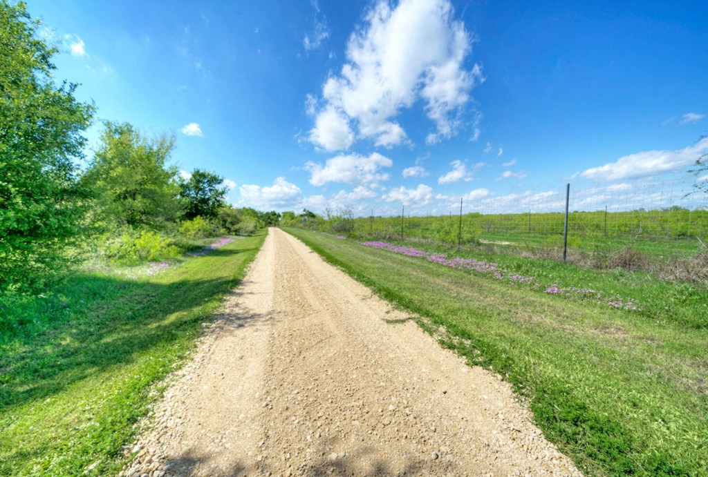 3 County Road, Unit 3 Elgin, TX 78621 - Photo 4 of 37 a view of a pathway both side of grassy field with shrub