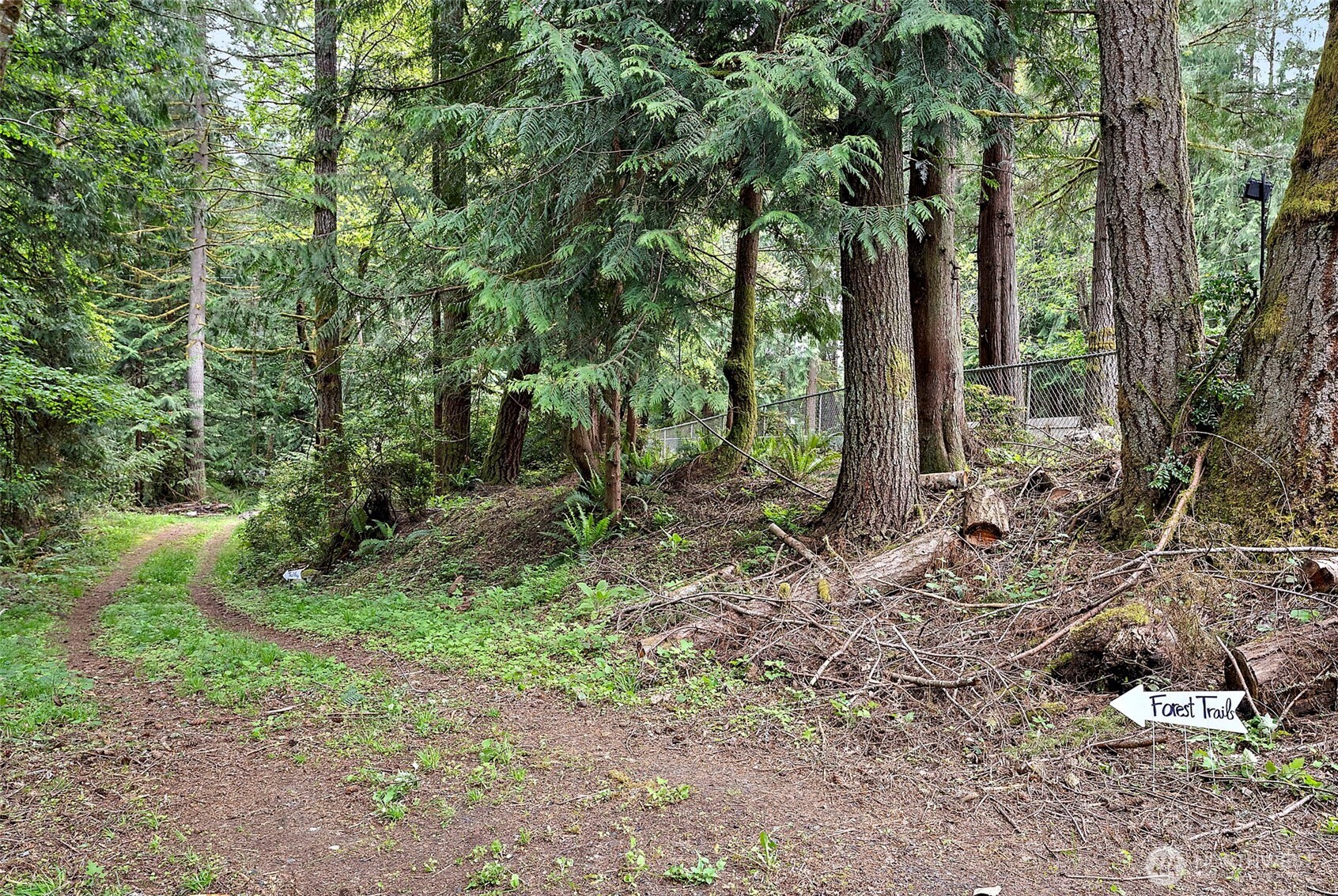 7591 Southeast Fragaria Road Olalla, WA 98359 - Photo 33 of 34 Gallery Image 33
