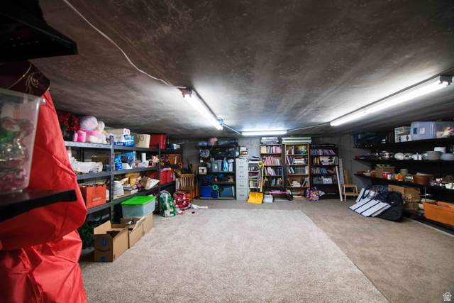 646 East 1400th Street North Mapleton, UT 84664 - Photo 61 of 78 Basement space featuring concrete walls and ceiling, carpeted flooring, and fluorescent lighting